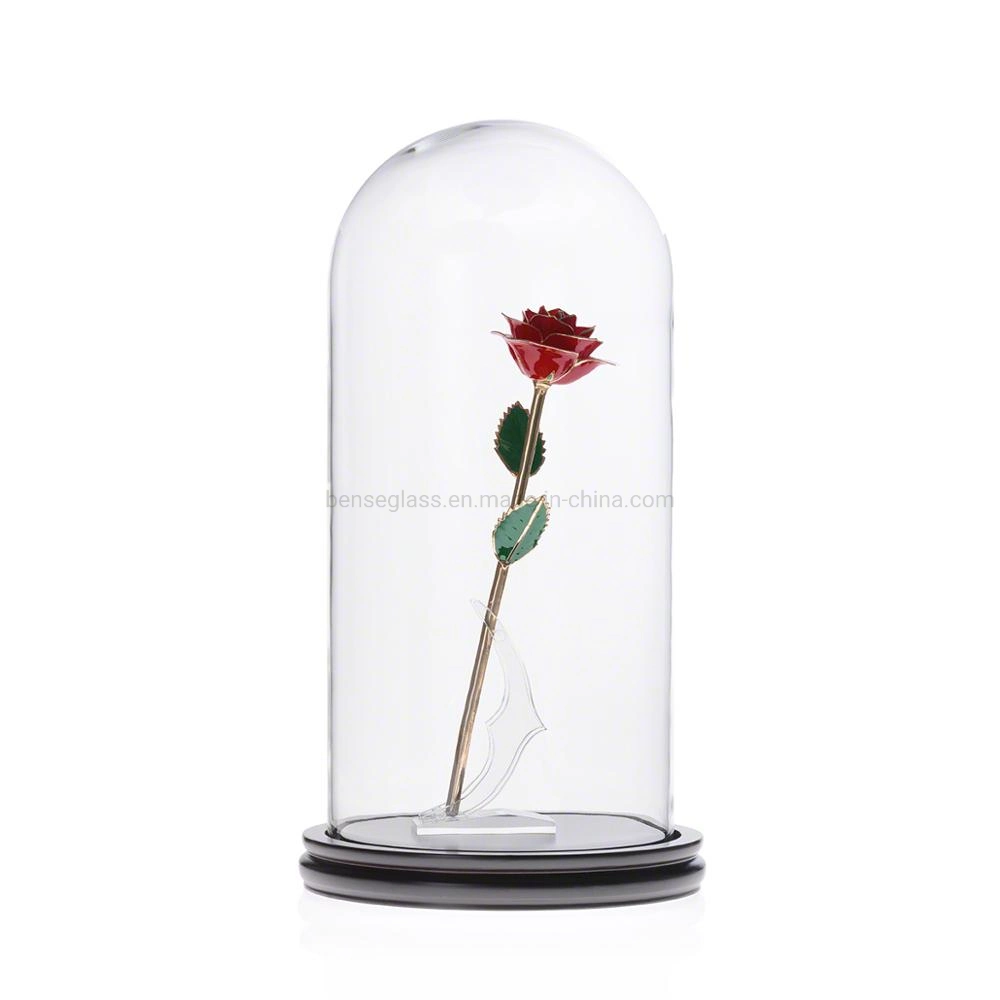 New Arrival Large Glass Dome Display Case Glass Cover